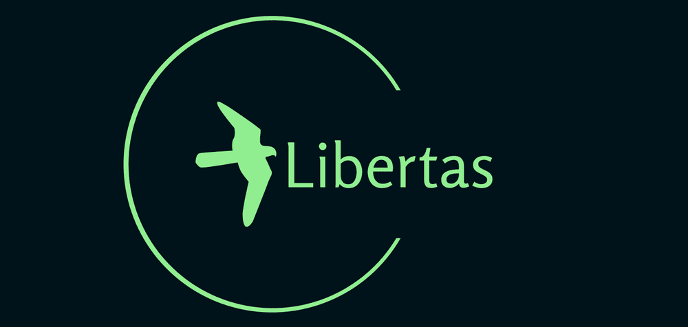Libertas Technologies LLC